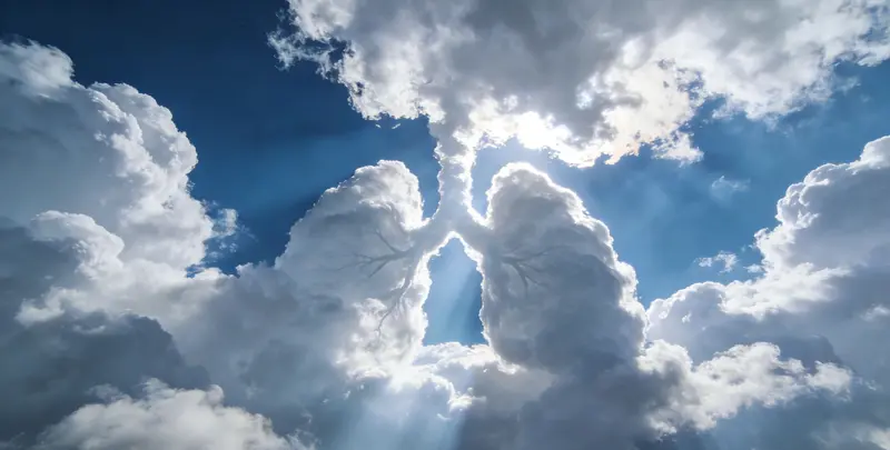 河源肺癌靶向120基因检测（组织）图片1