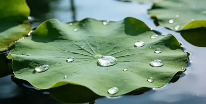 河源乳腺癌21基因mRNA表达分析图片1