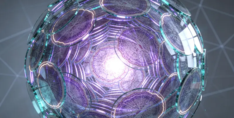 1+6 实体瘤定制化MRD基因检测图4